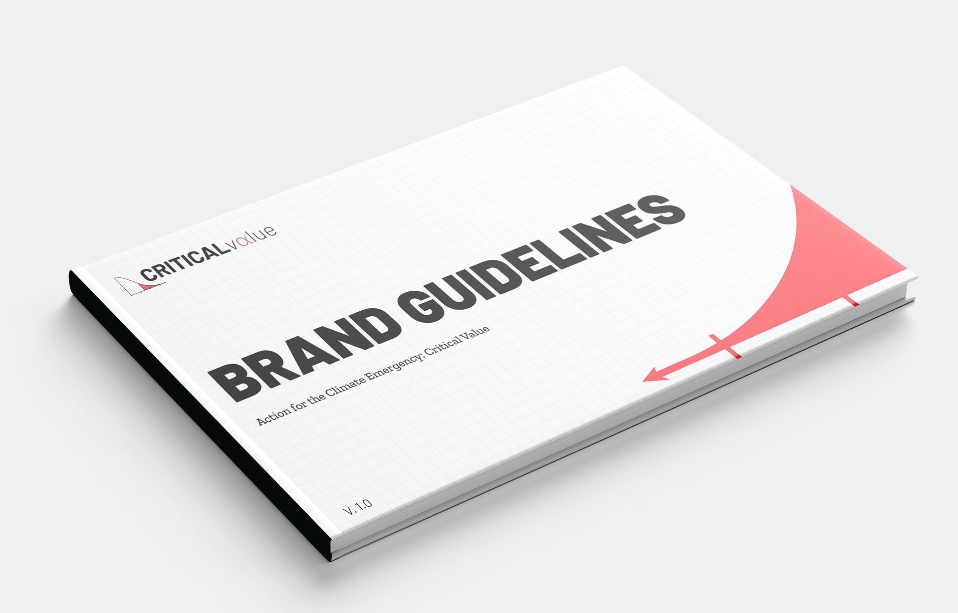 Critical Value Brand Guide 1