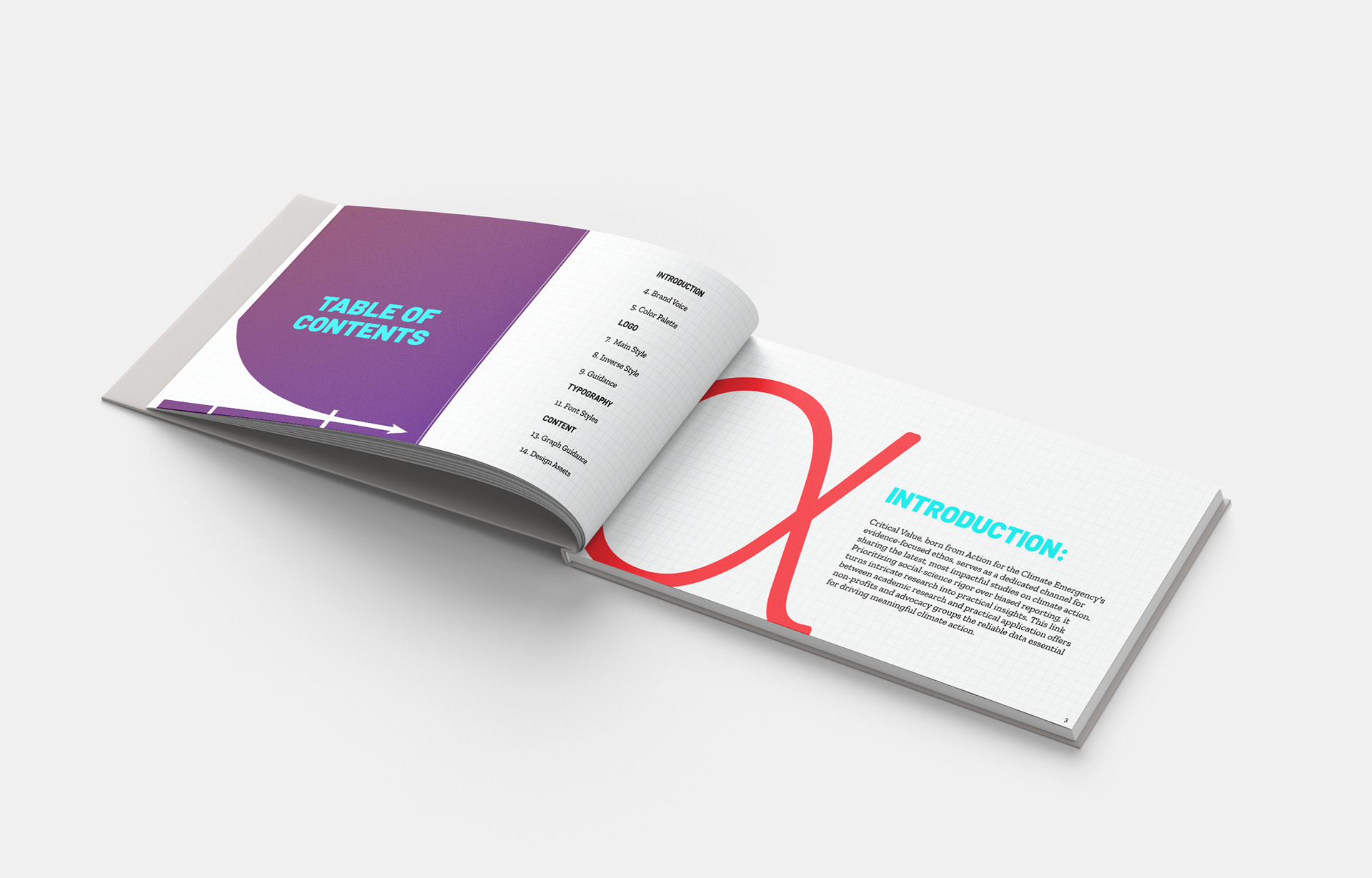 Critical Value Brand Guide 2